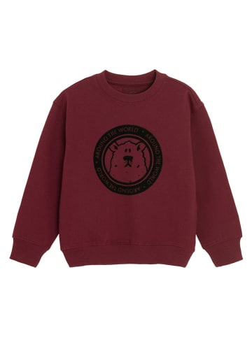 COOL CLUB Sweatshirt in Bordeaux