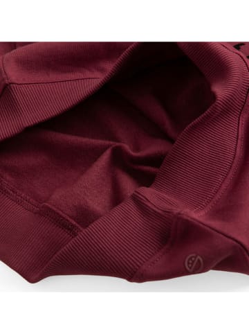 COOL CLUB Sweatshirt bordeaux