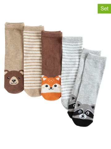 COOL CLUB 5er-Set: Socken in Hellbraun/ Grau