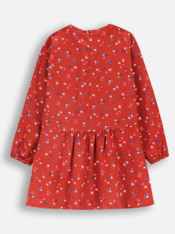 Coccodrillo Sukienka w kolorze czerwonym