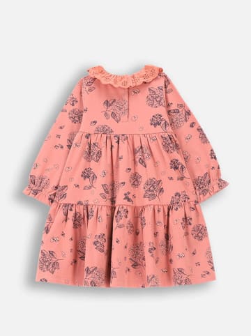 Coccodrillo Kleid in Orange