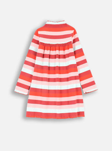 Coccodrillo Kleid in Bunt