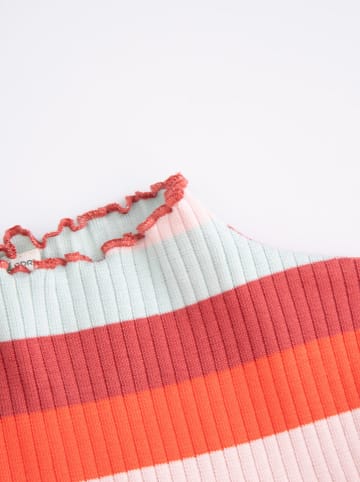 Coccodrillo Kleid in Bunt