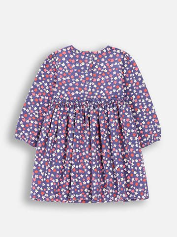 Coccodrillo Sukienka w kolorze fioletowym