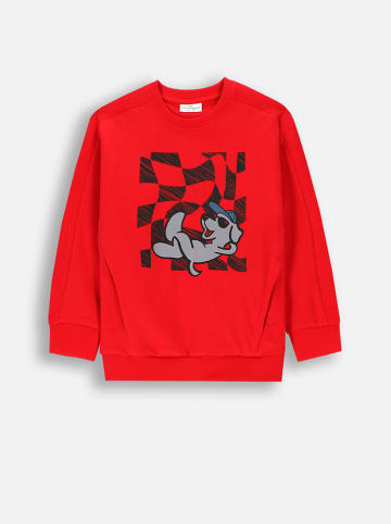 Coccodrillo Sweatshirt in Rot