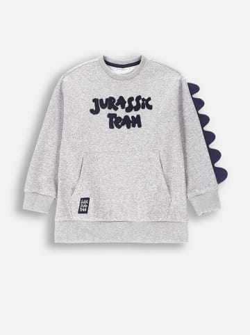 Coccodrillo Sweatshirt in Grau