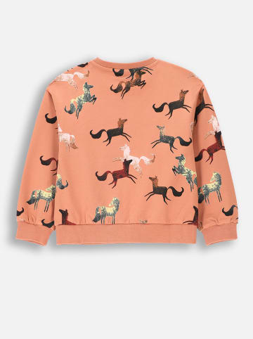 Coccodrillo Sweatshirt in Orange