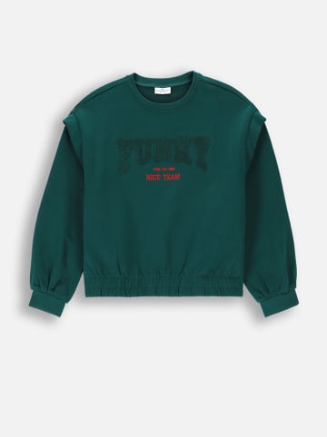 Coccodrillo Sweatshirt in Grün