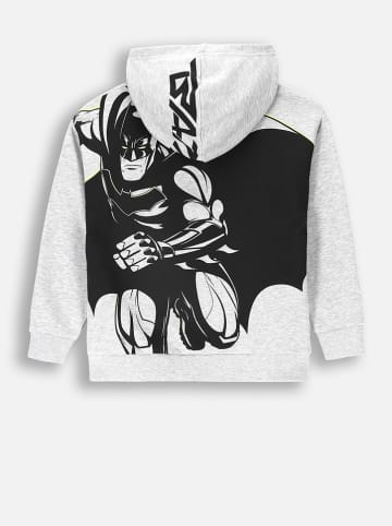 Coccodrillo Hoodie in Grau