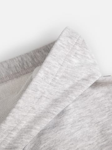 Coccodrillo Hoodie in Grau