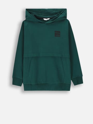 Coccodrillo Bluza w kolorze zielonym