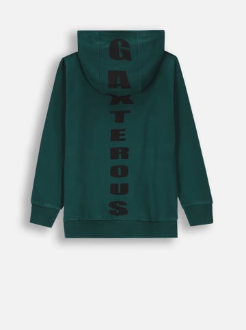 Coccodrillo Hoodie in Grün