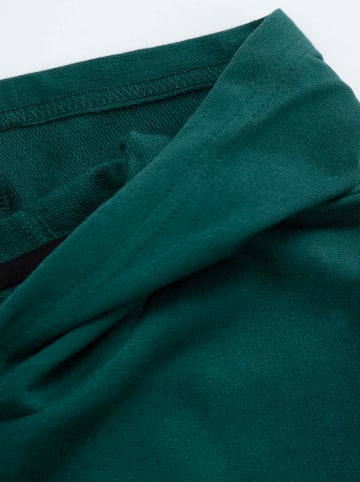 Coccodrillo Hoodie in Grün