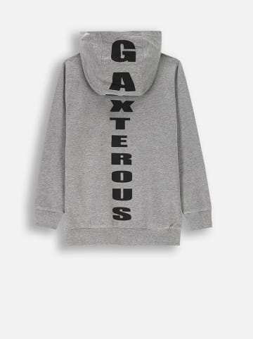 Coccodrillo Hoodie in Grau