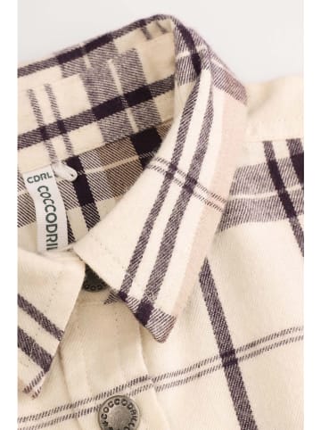 Coccodrillo Hemd in Beige