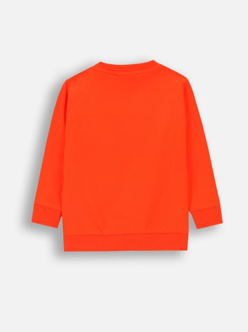 Coccodrillo Sweatshirt in Orange