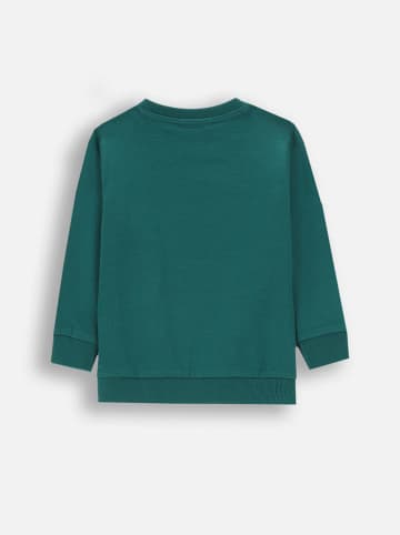 Coccodrillo Sweatshirt in Grün