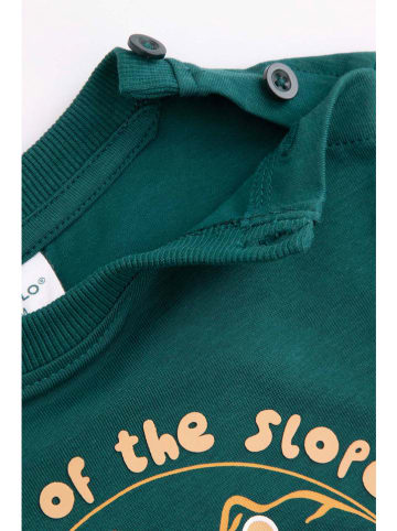 Coccodrillo Sweatshirt in Grün