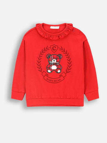 Coccodrillo Sweatshirt in Rot