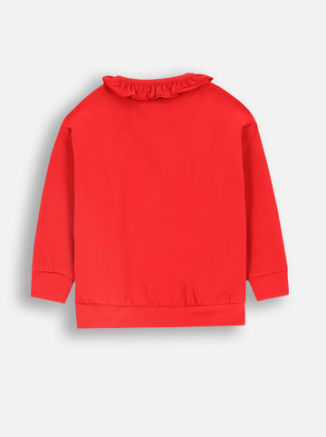Coccodrillo Sweatshirt in Rot