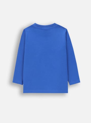 Coccodrillo Koszulka w kolorze niebieskim