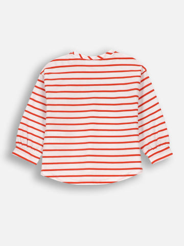 Coccodrillo Longsleeve in Weiß/ Rot