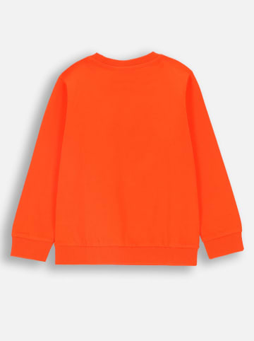 Coccodrillo Sweatshirt in Orange