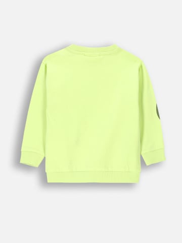 Coccodrillo Bluza w kolorze żółtym