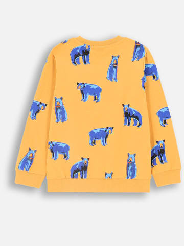 Coccodrillo Sweatshirt in Orange