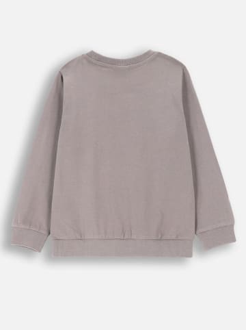 Coccodrillo Sweatshirt in Grau