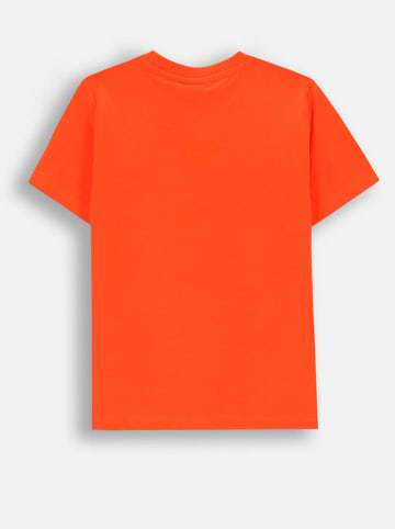 Coccodrillo Koszulka w kolorze czerwonym