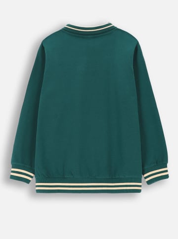 Coccodrillo Poloshirt in Grün