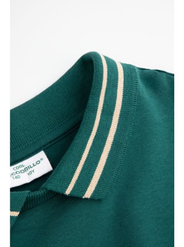 Coccodrillo Koszulka polo w kolorze zielonym