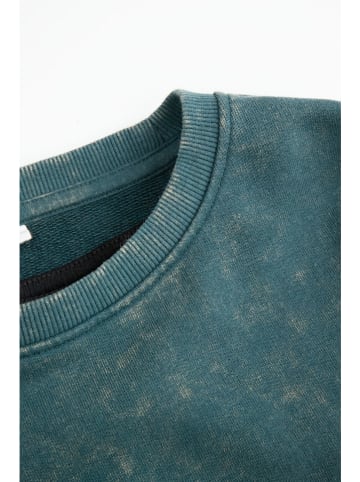 Coccodrillo Kleid in Grün/ Schwarz