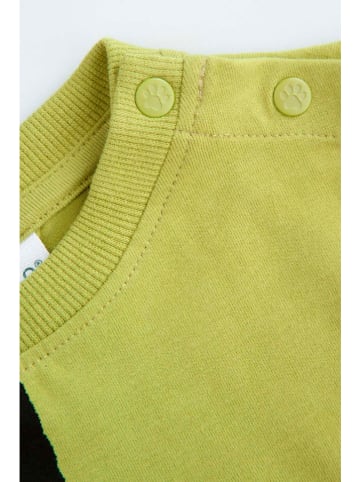 Coccodrillo Longsleeve in Grün