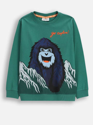 Coccodrillo Sweatshirt in Grün