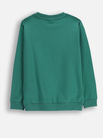 Coccodrillo Bluza w kolorze zielonym