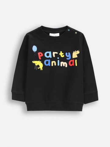 Coccodrillo Bluza w kolorze czarnym