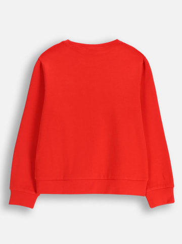 Coccodrillo Bluza w kolorze czerwonym