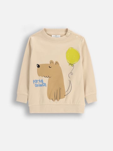 Coccodrillo Bluza w kolorze beżowym