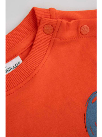 Coccodrillo Sweatshirt in Orange