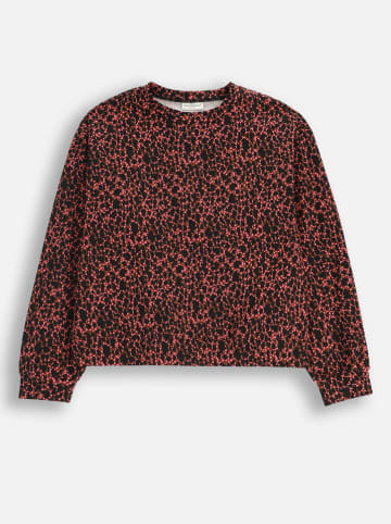 Coccodrillo Koszulka w kolorze czarno-czerwonym