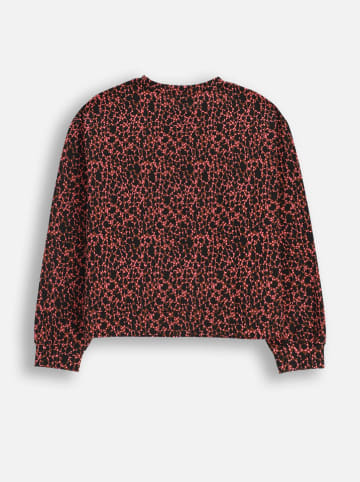 Coccodrillo Longsleeve in Schwarz/ Rot