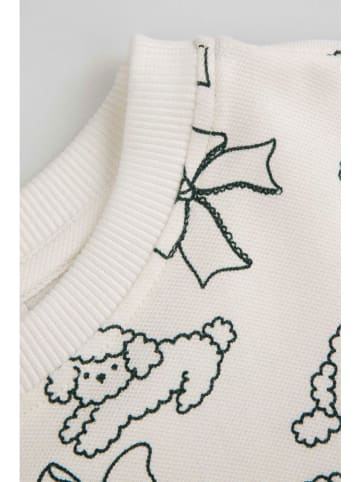 Coccodrillo Sweatshirt in Creme