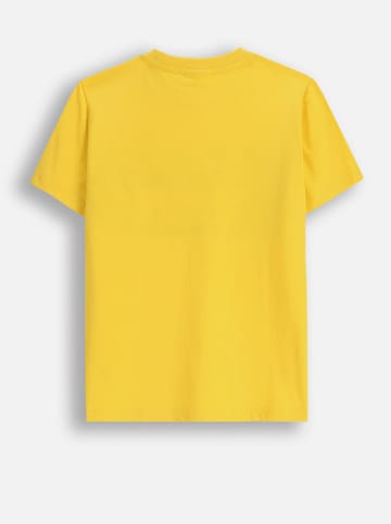 Coccodrillo Shirt in Gelb/ Creme