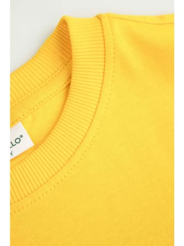 Coccodrillo Koszulka w kolorze żółto-kremowym