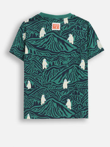 Coccodrillo Shirt in Grün