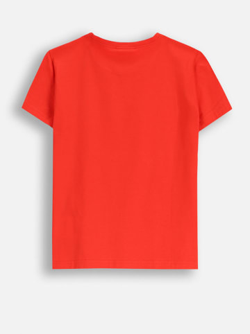 Coccodrillo Koszulka w kolorze czerwonym