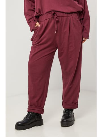 Curvy Lady Hose in Bordeaux