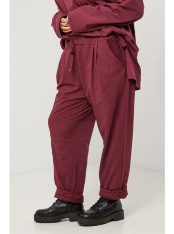 Curvy Lady Broek bordeaux